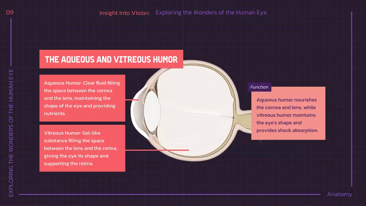 Presentasi Kuliah Anatomi Modern Ungu