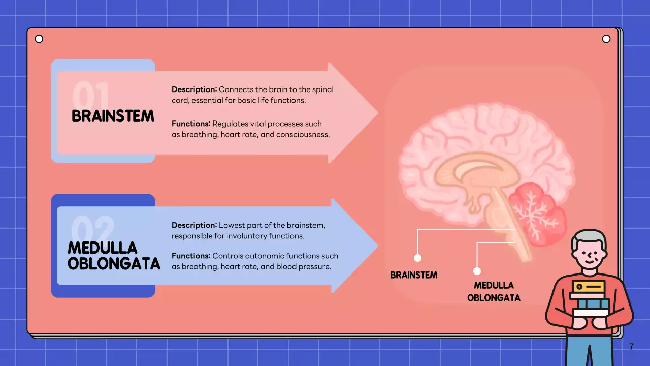 Apresentação da Palestra Pink Modern Brain