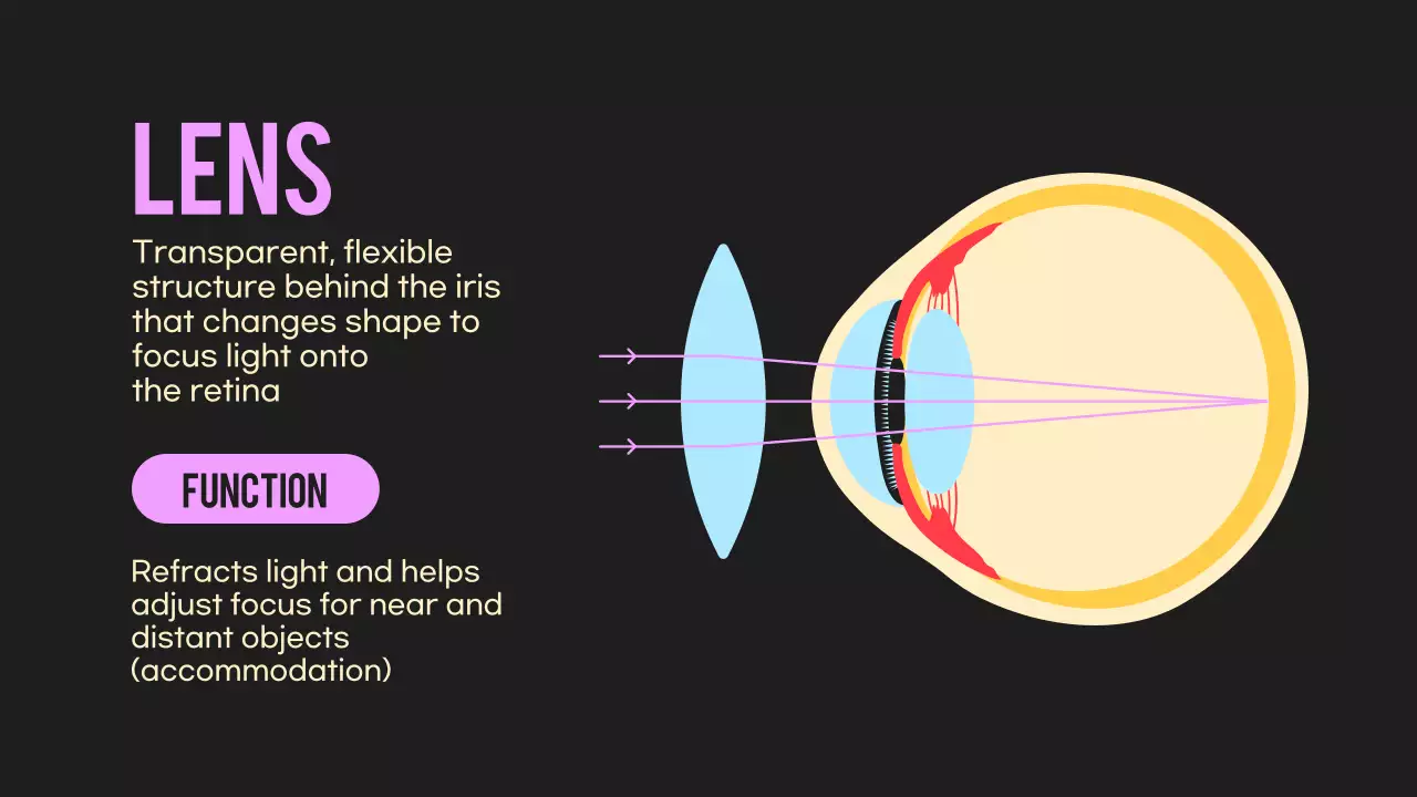 Black Orange Flashy Eyes Lecture Material