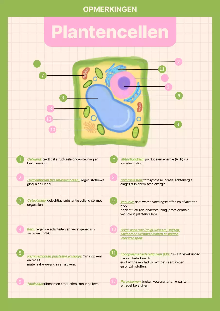 Groen eenvoudig biologie studiemateriaal