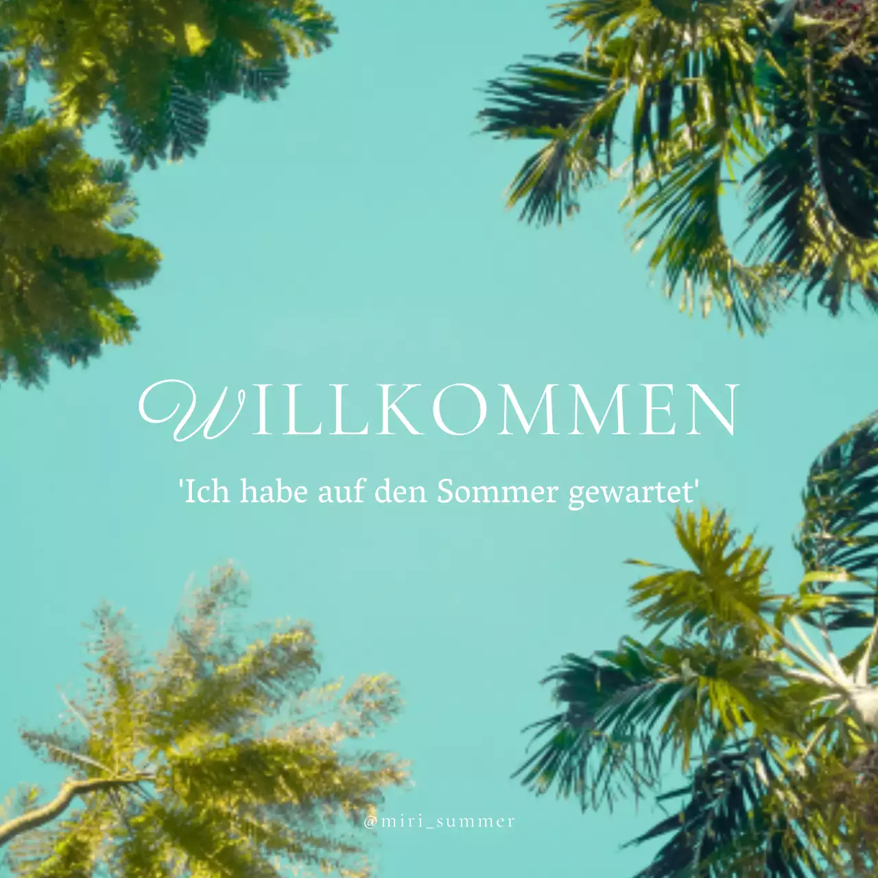 Kitschige Meeresstrand-Palmen Post in blau und weiß