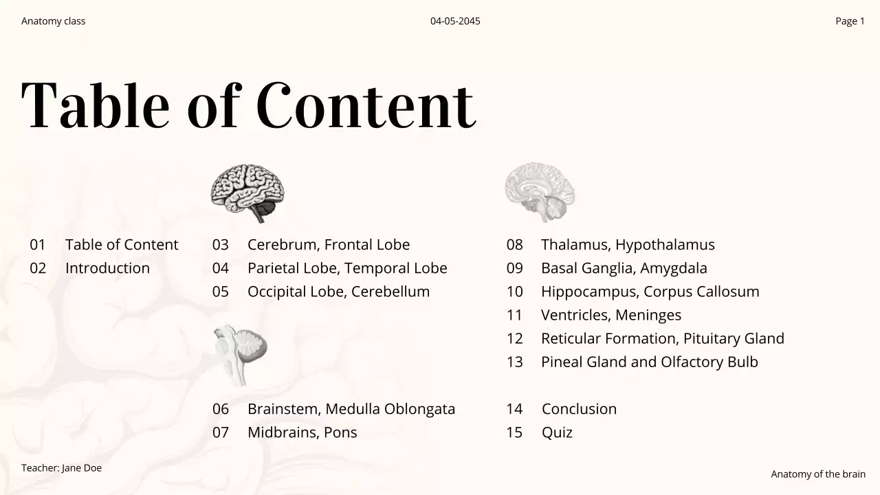 Orange Professional Brain Course Presentation
