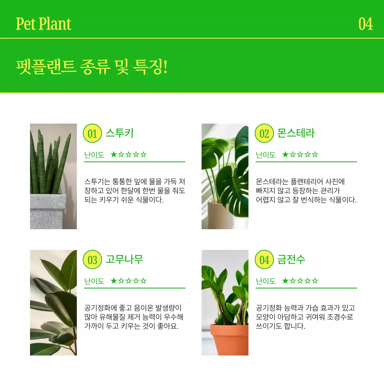 노랑과 초록색의 심플한 반려식물 홍보