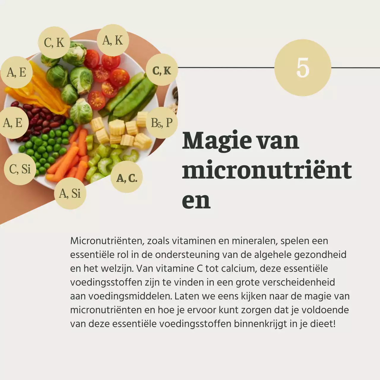 Grijs en Groen Natuurlijk Gezond eten en dieetgids