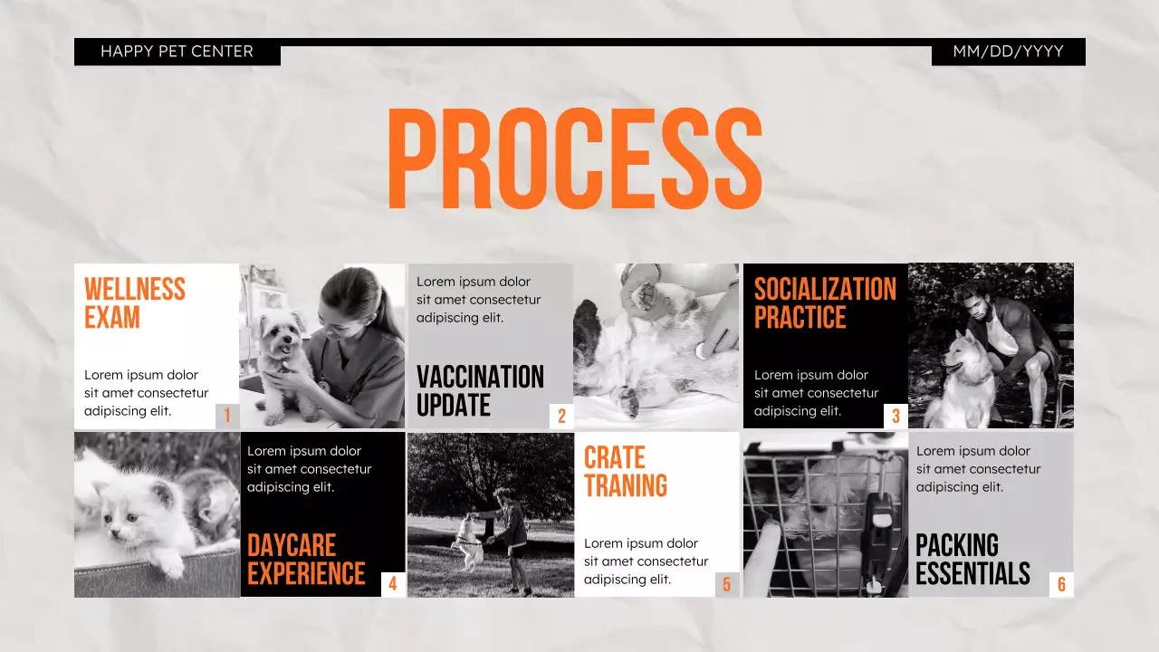 Orange Modern Pet Promotion Presentation