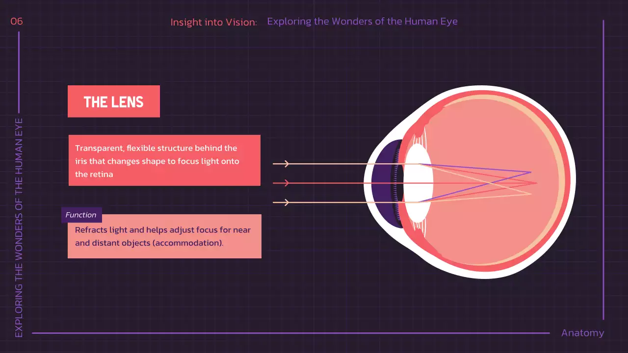 Presentasi Kuliah Anatomi Modern Ungu