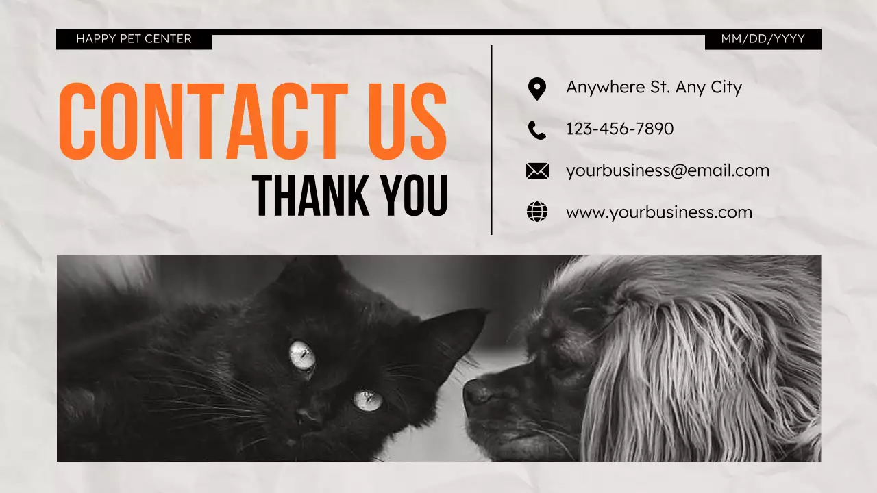 Orange Modern Pet Promotion Presentation