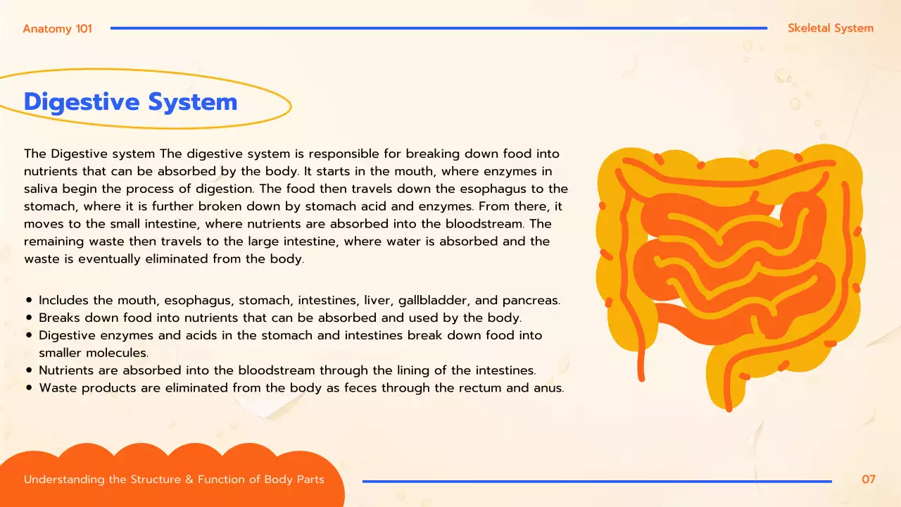 Orange Educational Anatomy Guide Presentation