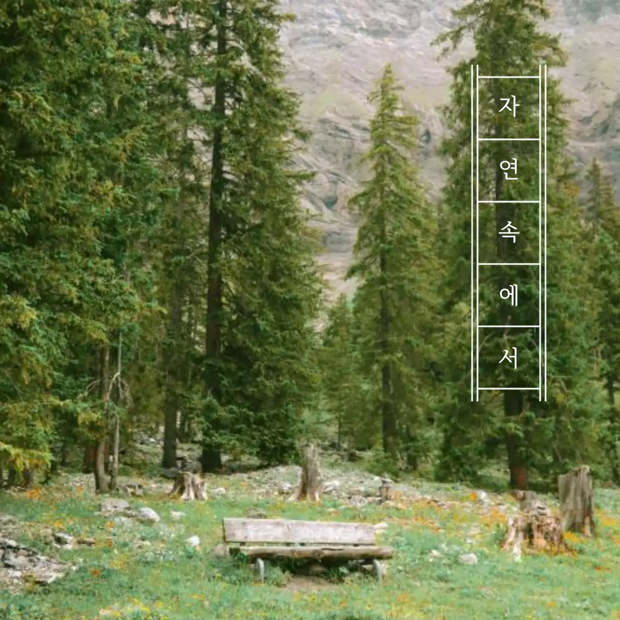 연두색와 흰색의 심플한 자연 캠핑 휴가 게시글