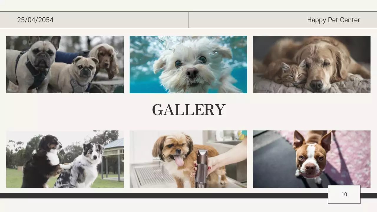 Beige Classic Pet Care Guide Presentation