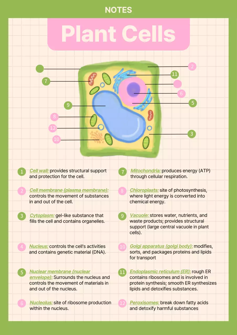 Green Simple Plant Cells Guide Poster