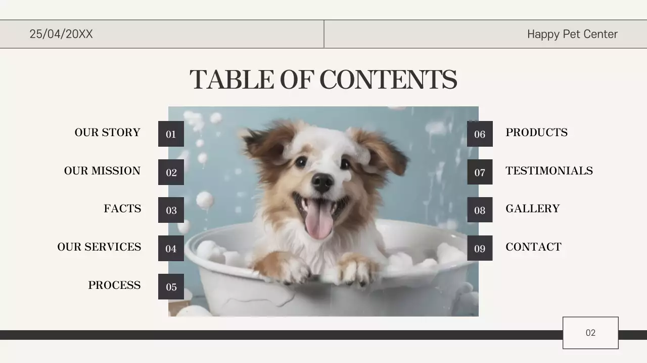 Beige Classic Pet Care Guide Presentation