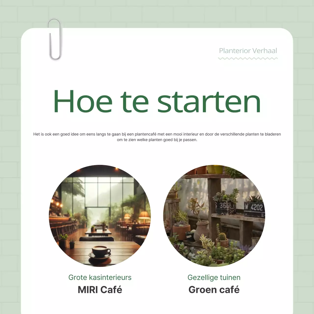 Promoot je groen-witte plantenterriër