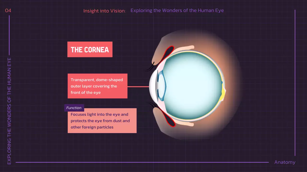 Presentasi Kuliah Anatomi Modern Ungu