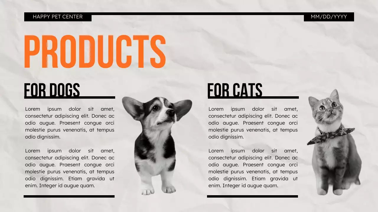 Orange Modern Pet Promotion Presentation