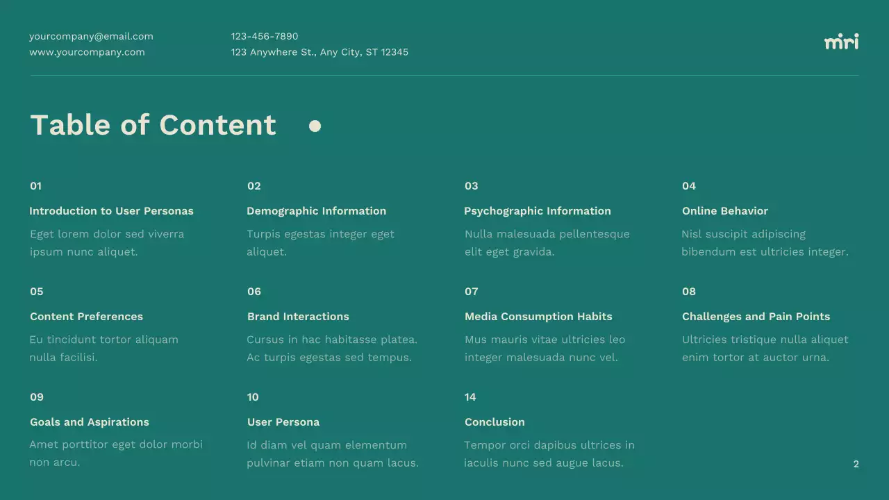 Teal Professional User Persona Guide Presentation