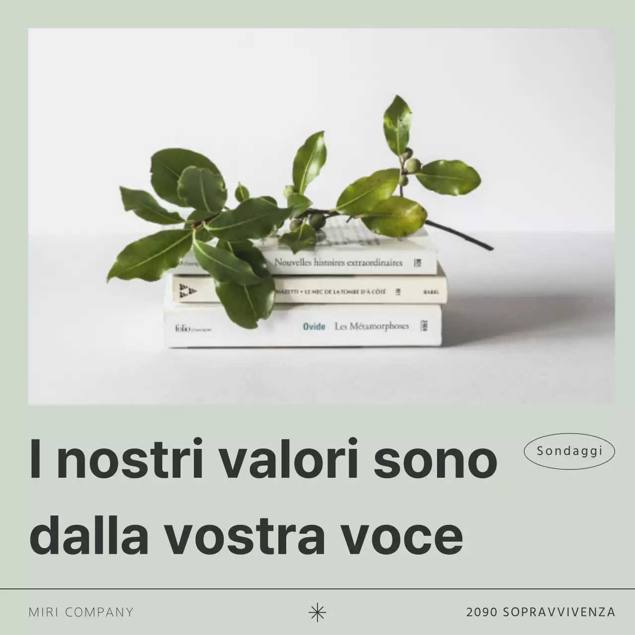 Promuovere le indagini sui clienti in tendenza con il kaki e il nero