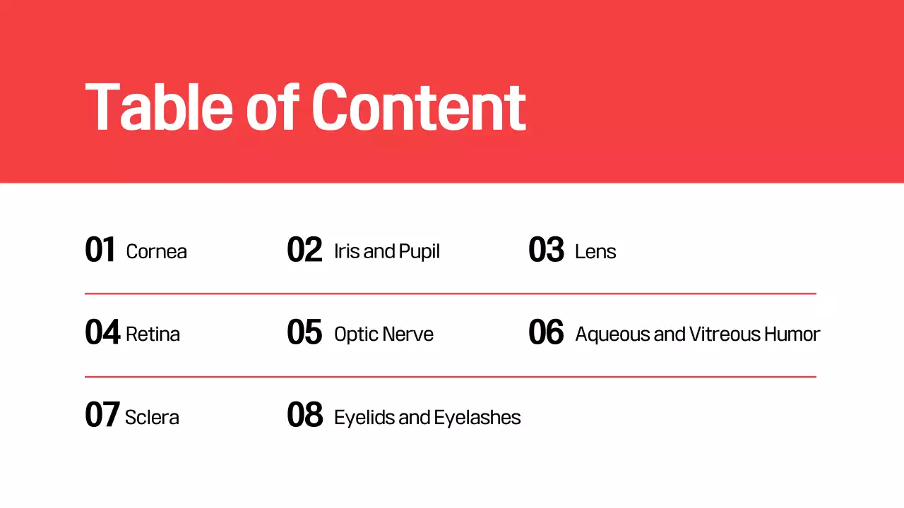 Red Modern Eye Anatomy Guide Presentation