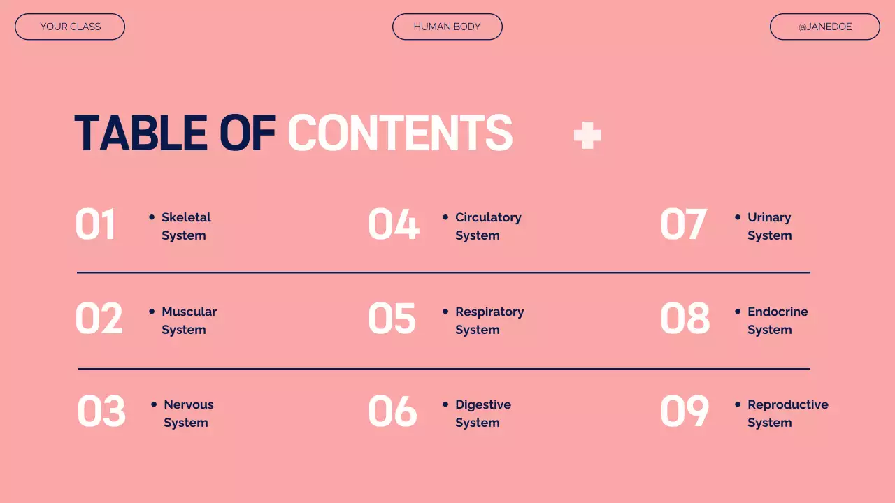 Pink Modern Anatomy Guide Presentation