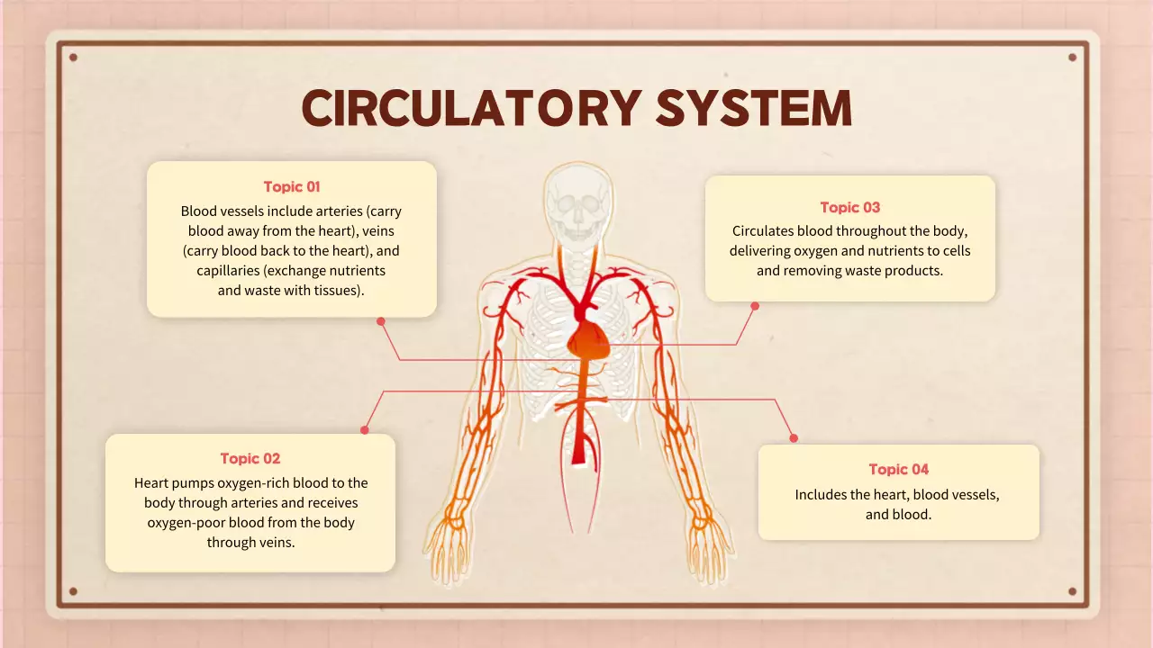 Beige Modern Anatomy Guide Presentation