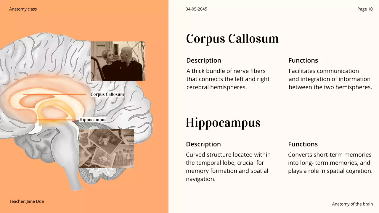 Orange Professional Brain Course Presentation