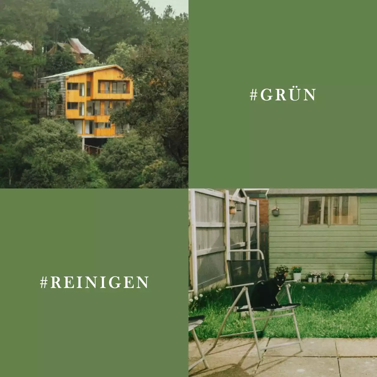 Einfache Natur Rückzug Wald in khaki und weiß Post