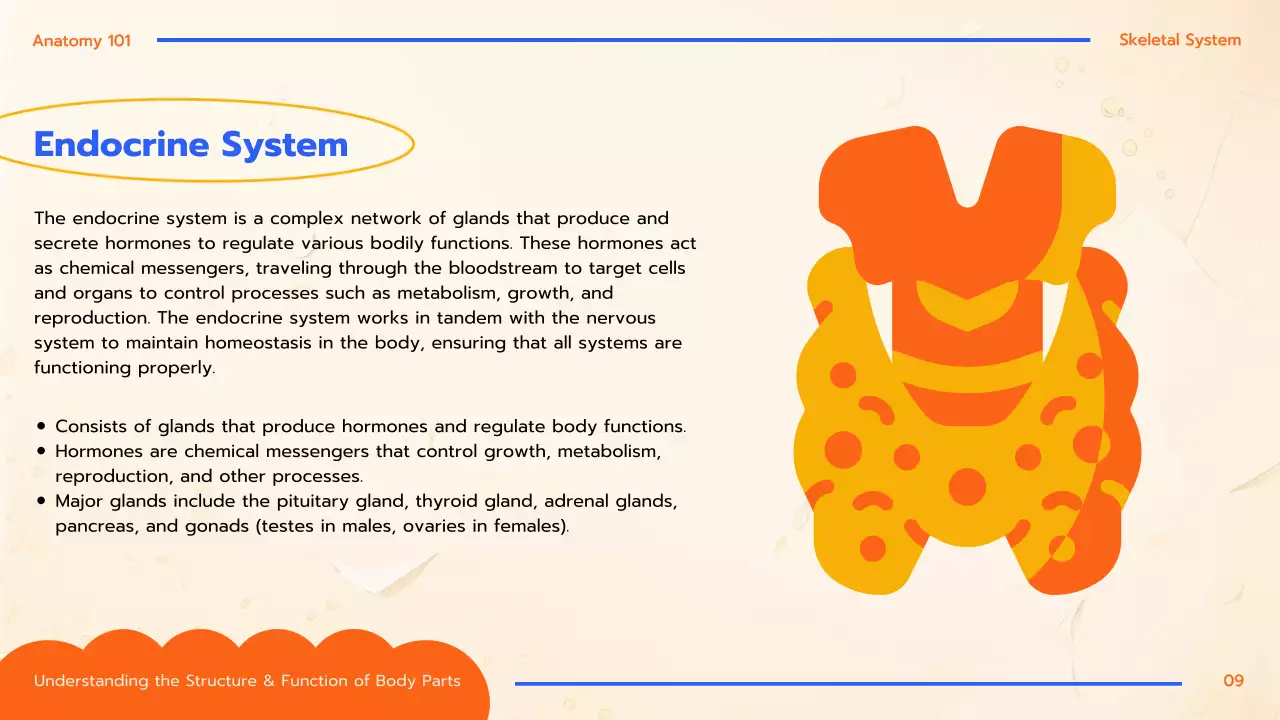 Orange Educational Anatomy Guide Presentation