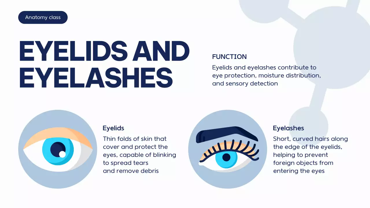 Blue Modern Anatomy Course Presentation