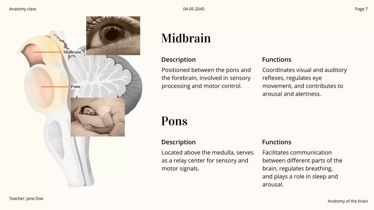 Orange Professional Brain Course Presentation