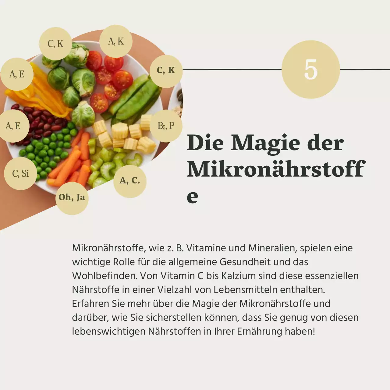 Grey and Green Natural Gesundes Essen und Diätführer