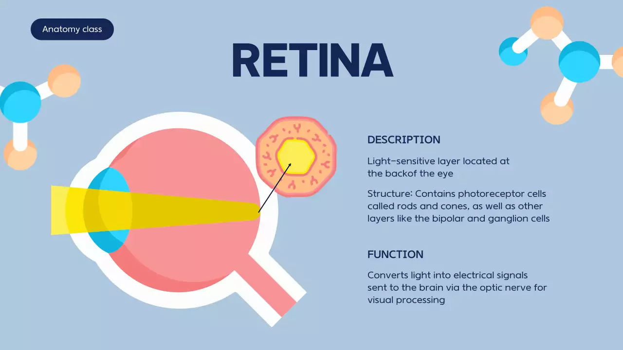 Blue Modern Anatomy Course Presentation