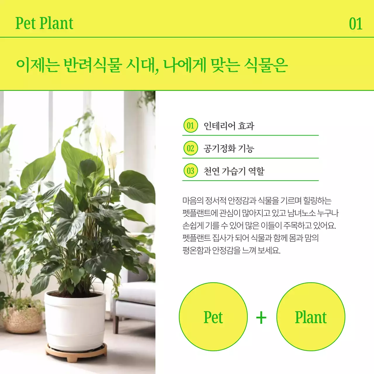 노랑과 초록색의 심플한 반려식물 홍보