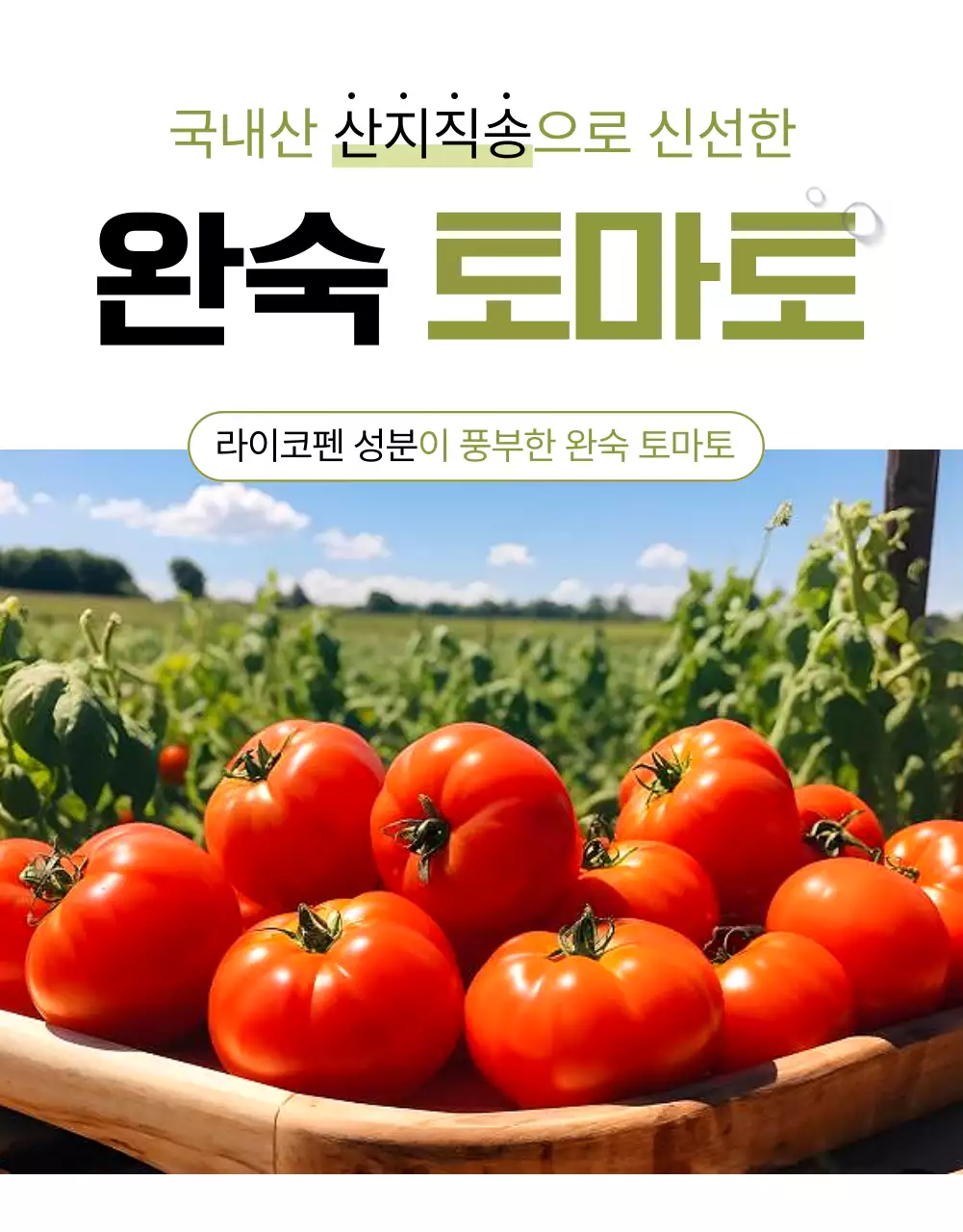 흰색과 초록색의 심플한 토마토 홍보