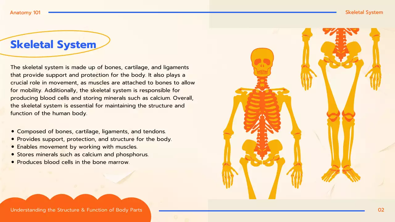 Orange Educational Anatomy Guide Presentation