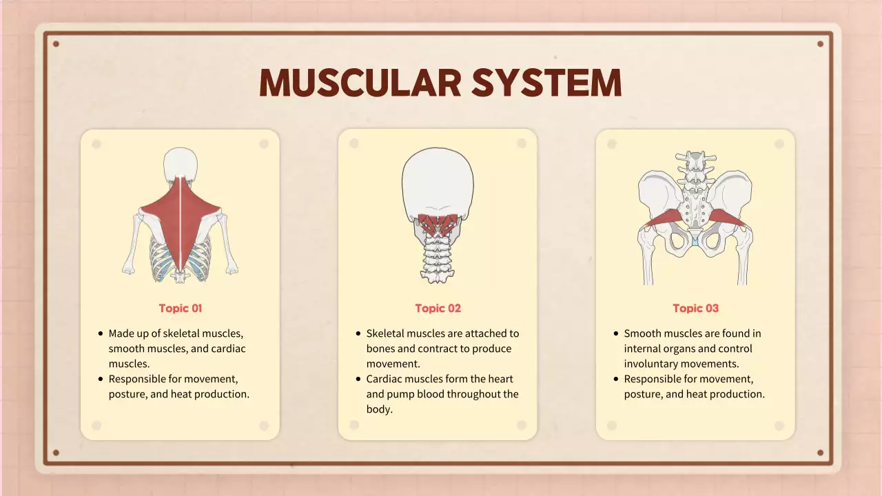 Beige Modern Anatomy Guide Presentation
