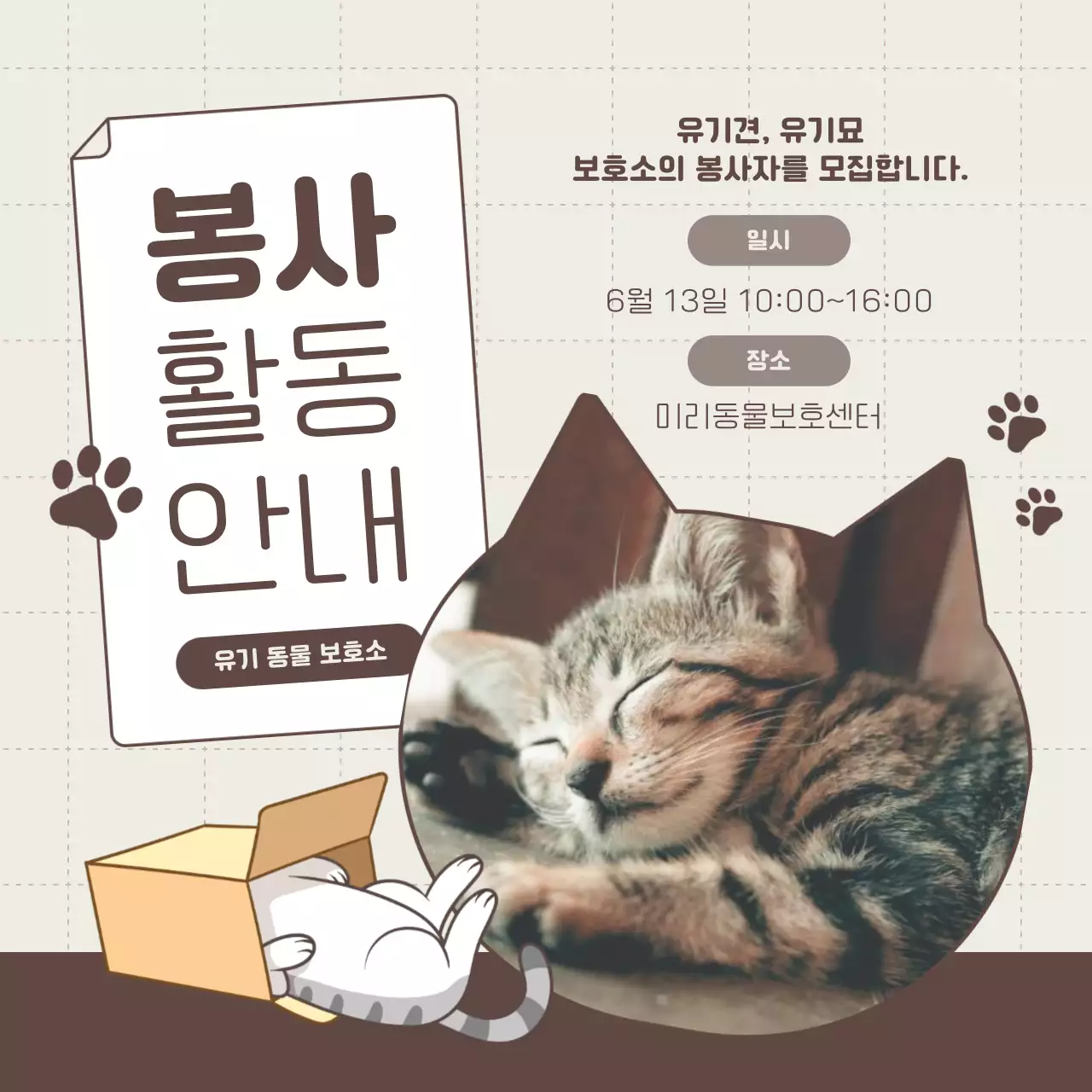 베이지와 갈색의 아기자기한 보호센터 봉사자 모집 홍보