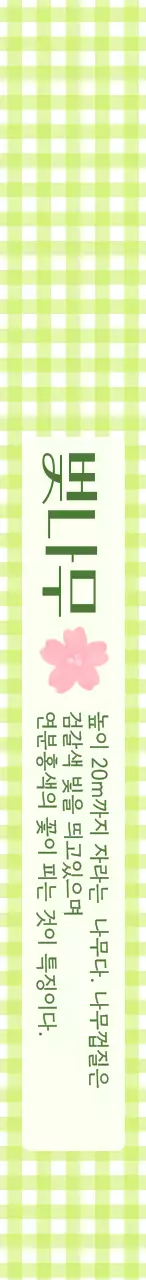 그린의 체크무늬 식목일 컨셉 나무 이름표