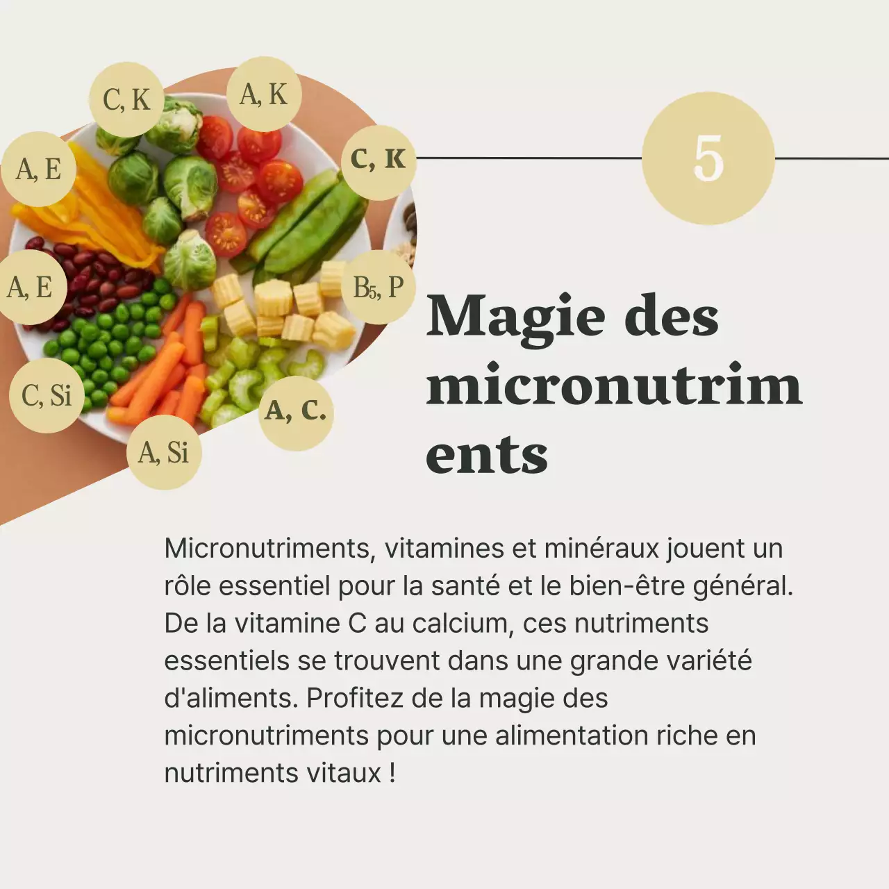 Gris et vert Guide de l'alimentation saine et du régime alimentaire