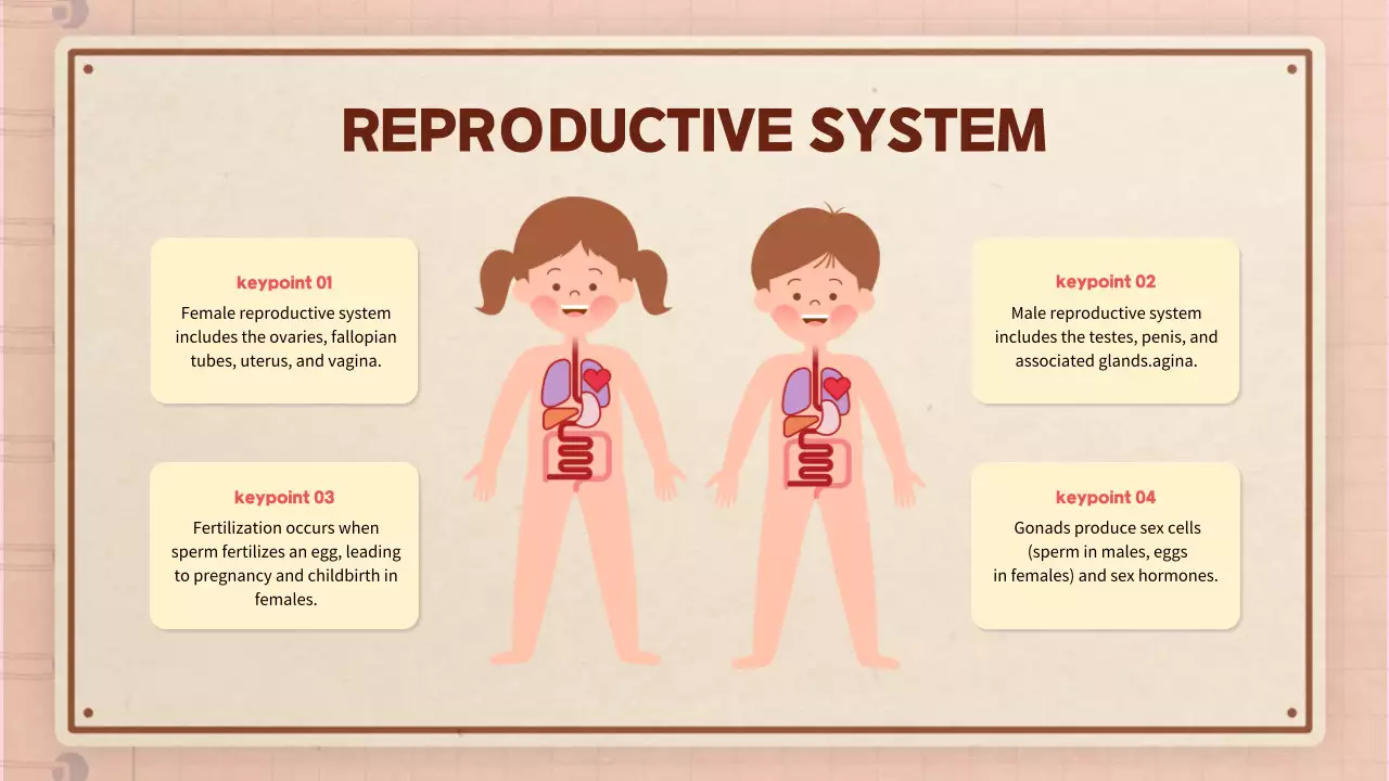 Beige Modern Anatomy Guide Presentation
