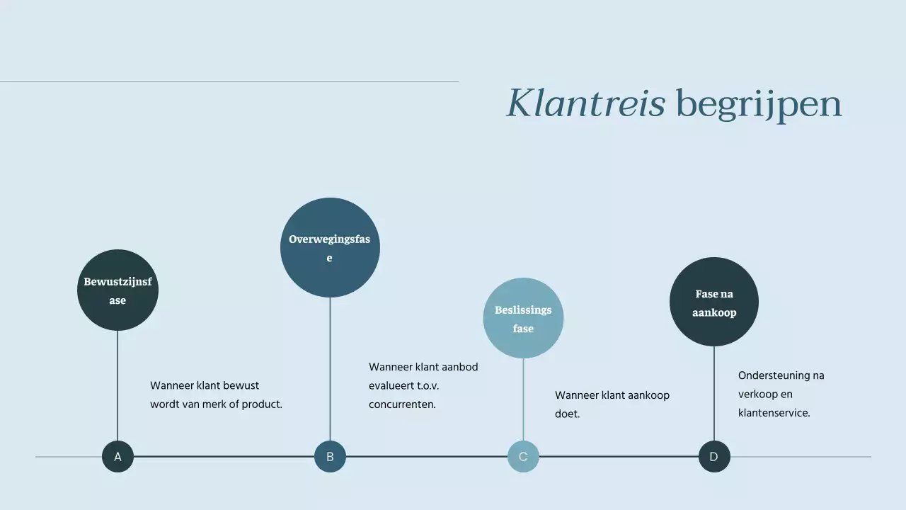 Sky Blue Eenvoudige Klantervaring Analyse Strategie