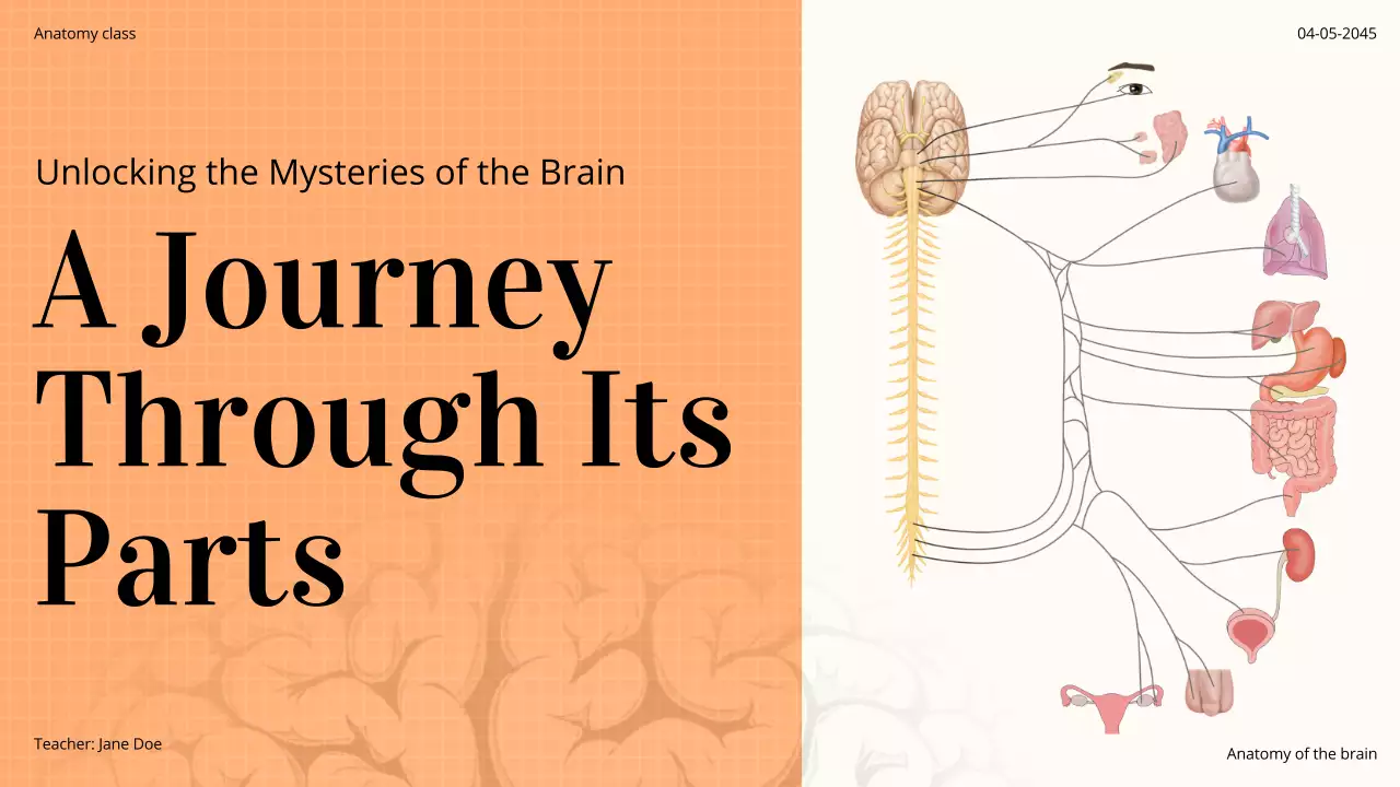 Orange Professional Brain Course Presentation