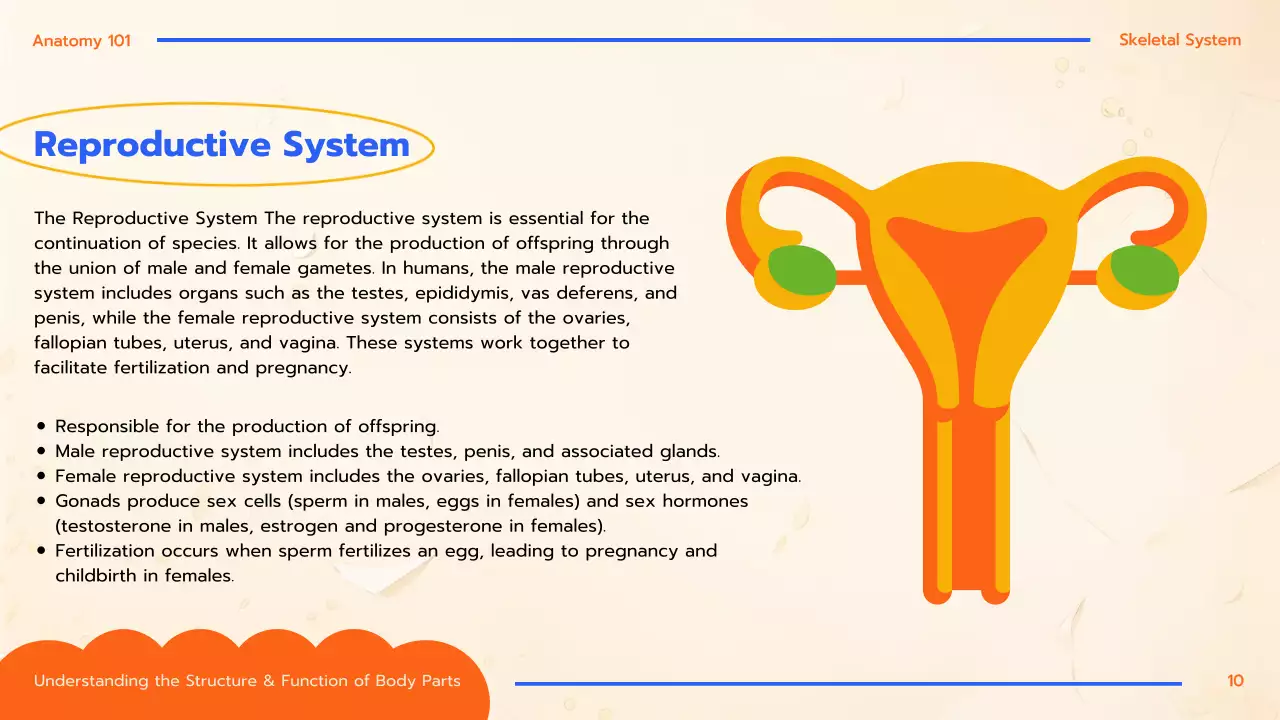 Orange Educational Anatomy Guide Presentation