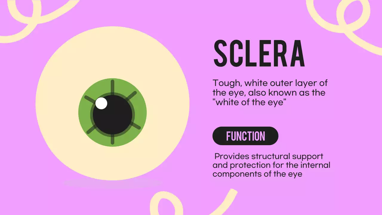 Black Orange Flashy Eyes Lecture Material