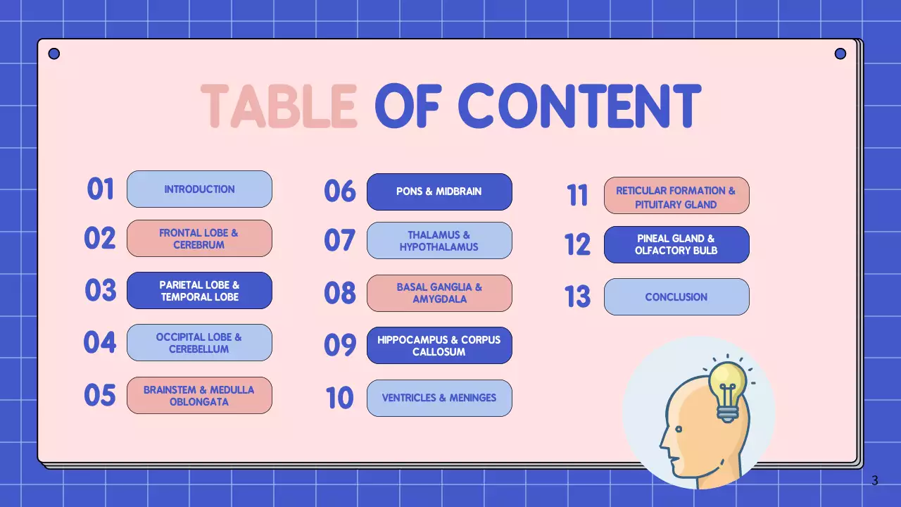 Apresentação da Palestra Pink Modern Brain