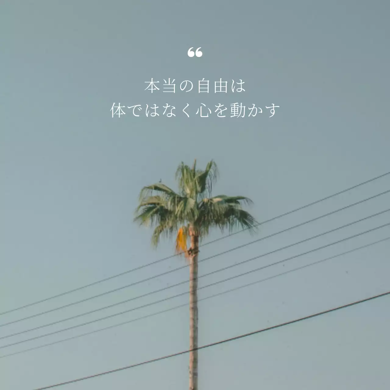 青 シンプル 自由 ポスター SNS投稿 正方形