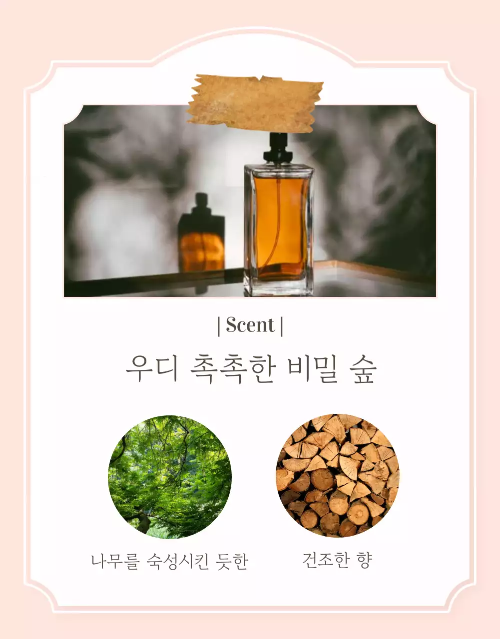 핑크색의 럭셔리한 향수 게시글