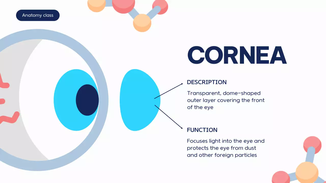 Blue Modern Anatomy Course Presentation