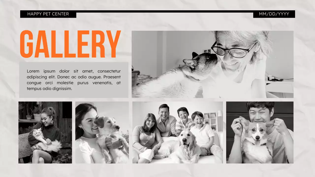 Orange Modern Pet Promotion Presentation