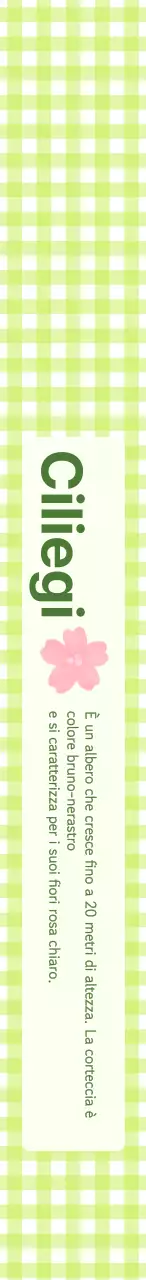 Targhette verdi e a scacchi per il concetto di albero Arbor Day