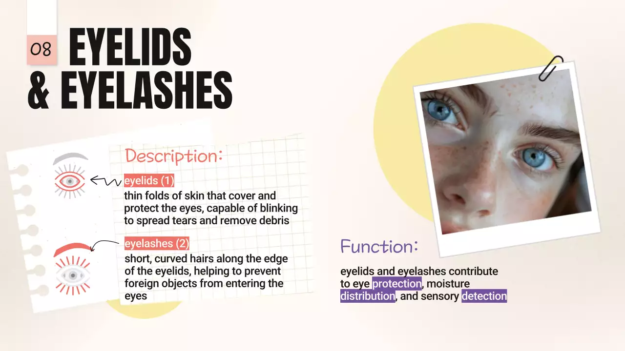 Beige Minimal Anatomy Guide Presentation